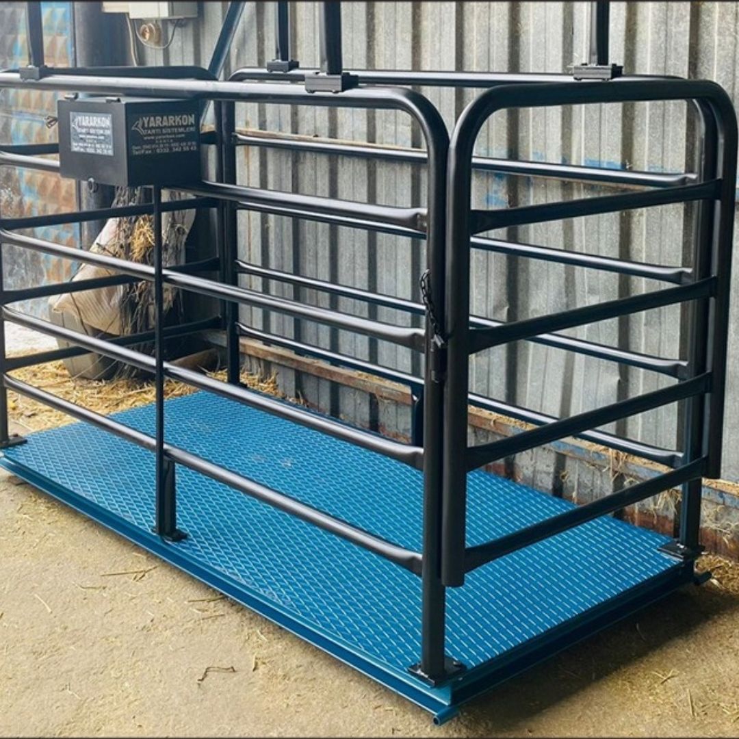 Hayvan Baskülü Üretim & Satış